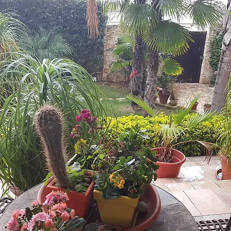 דירה Taverna L'oasi *